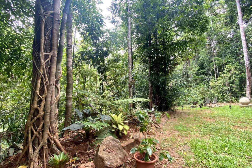 הוילה קאו ביי Zen Eco House מראה חיצוני תמונה